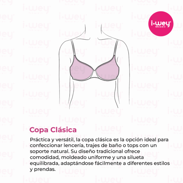 Copa Clásica