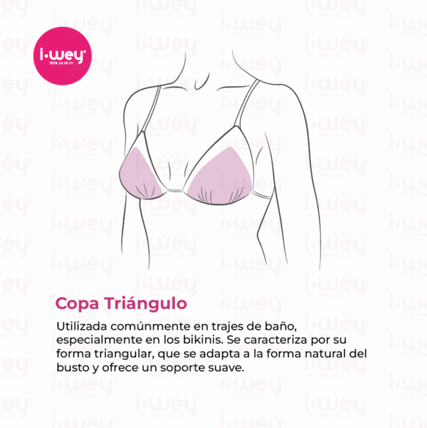 Copa Triángulo