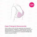 Copa Triangular Desvanecida