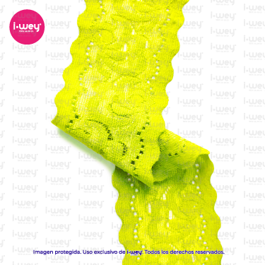 Encaje Elástico #204