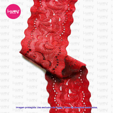 Encaje Elástico #204