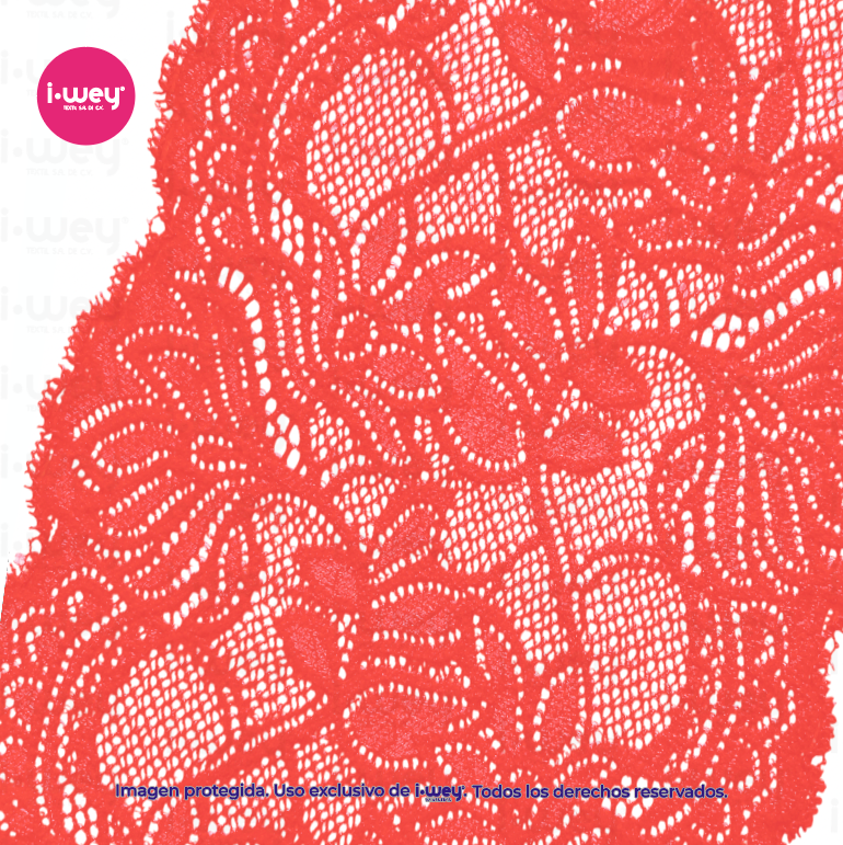 Encaje Elástico #305