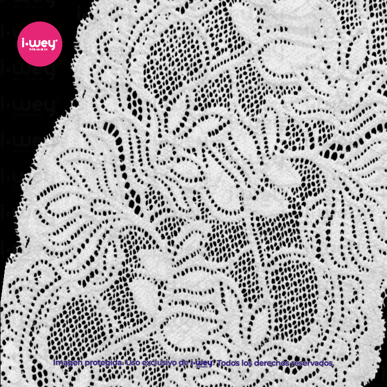 Encaje Elástico #305