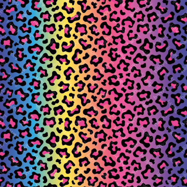 Estampado Gradient Colorful