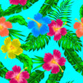 Estampado Hibis Blue