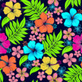 Estampado Nerissa