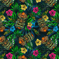 Estampado Akuaku