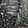 Licra Holograma Wild