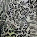 Licra Holograma Wild