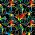 Estampado Tropikale
