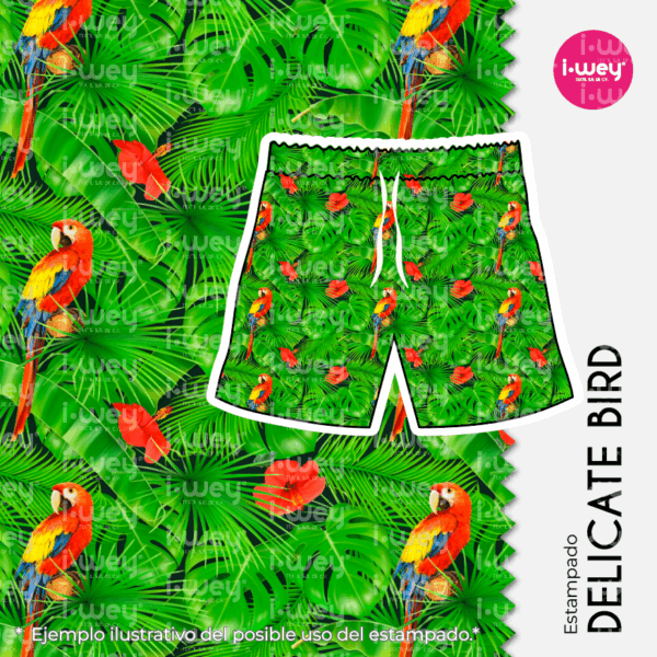 Estampado Delicate bird