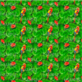 Estampado Delicate bird