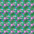 Estampado Pinkkk