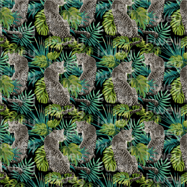 Estampado Wild kitten lisaya