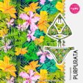 Estampado Purpurata