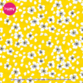 Estampado Dream Spring