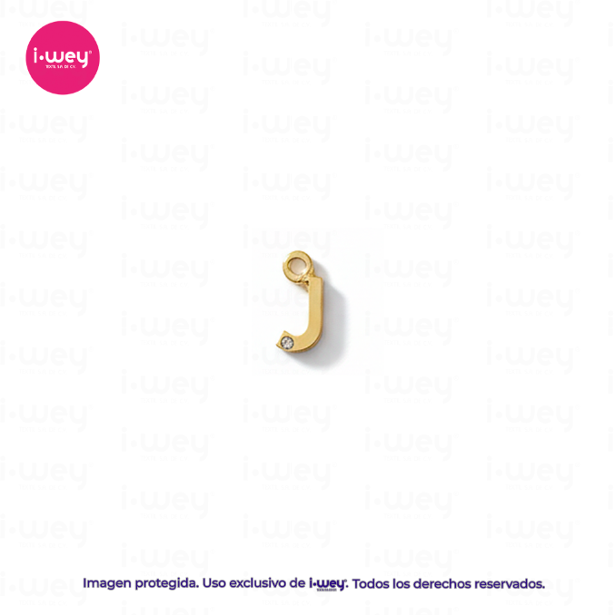 Dije de Letra Con Diamante