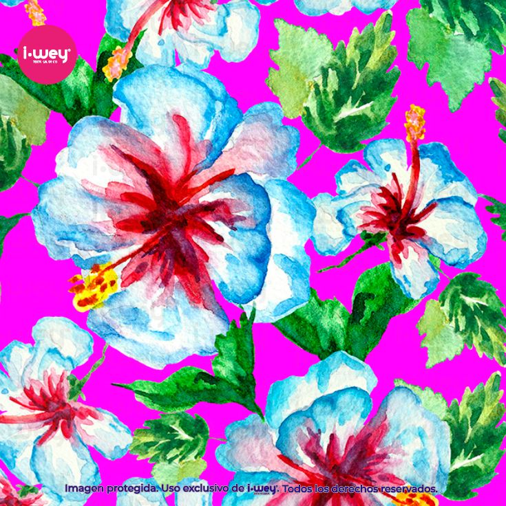 Estampado Céu Azul