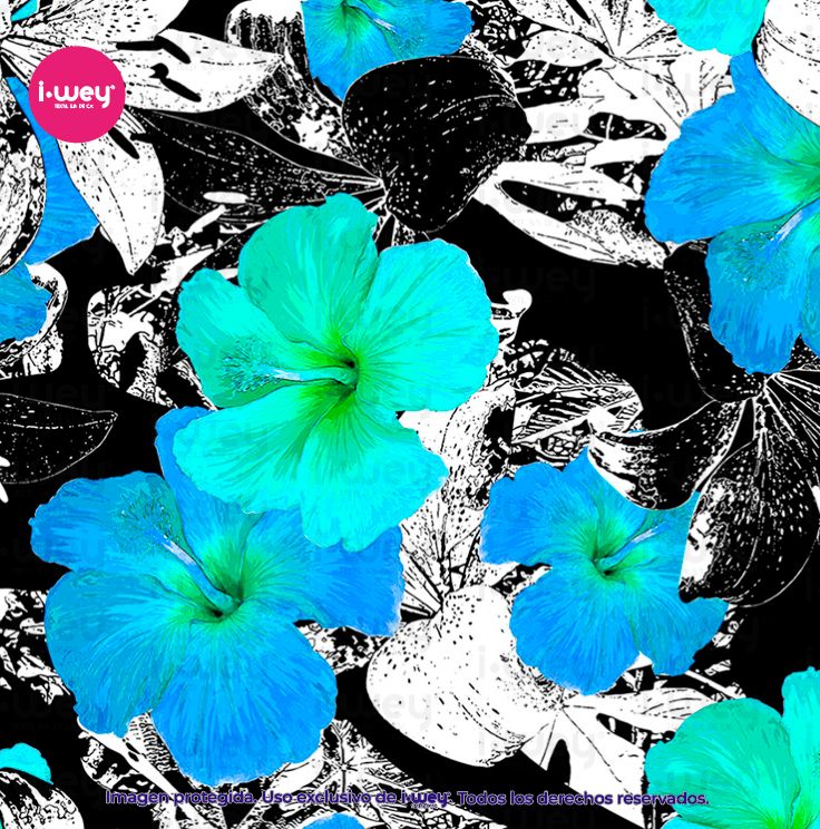 Estampado Samba Azul
